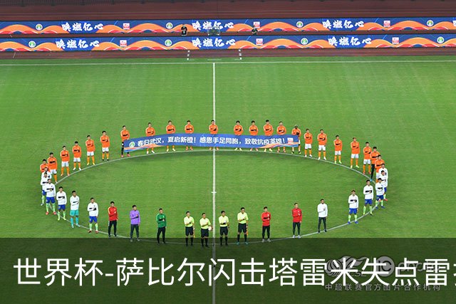 世界杯-萨比尔闪击塔雷米失点雷扎伊扬扳平 半场埃及1-1伊朗